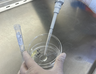 嬰配乳粉生產企業環境微生物監測（一）——表面微生物采樣