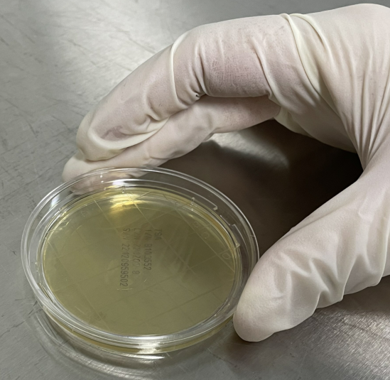 嬰配乳粉生產企業環境微生物監測（一）——表面微生物采樣