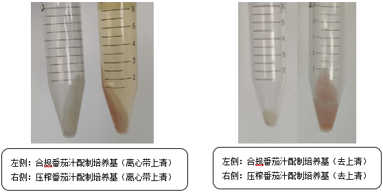 維生素檢測國標法本底污染的原因分析 維生素檢測國標法本底污染的原因分析