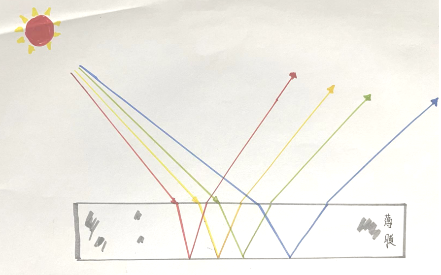 自帶“光環”的菌——唐菖蒲伯克霍爾德氏菌（下）