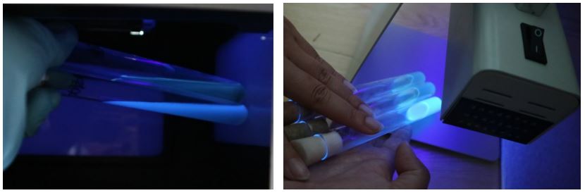 GB 4789.38－2025《食品安全國家標準　食品微生物學檢驗　大腸埃希氏菌計數(shù)》解讀