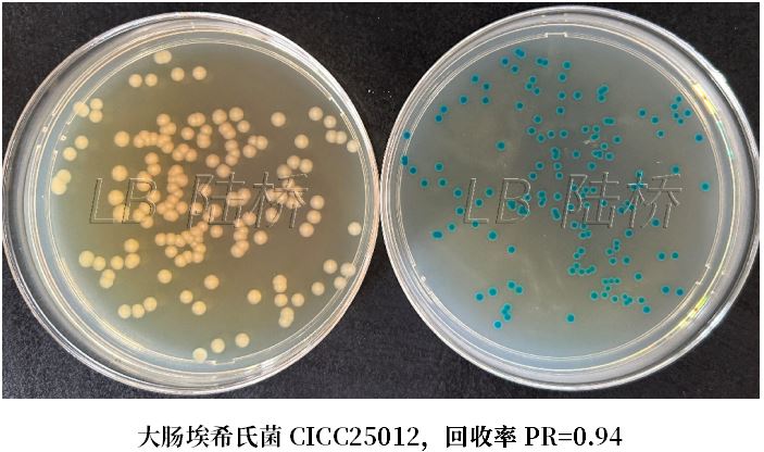 GB 4789.38－2025《食品安全國家標準　食品微生物學檢驗　大腸埃希氏菌計數(shù)》解讀