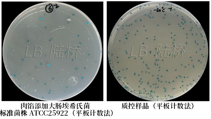GB 4789.38－2025《食品安全國家標準　食品微生物學檢驗　大腸埃希氏菌計數(shù)》解讀