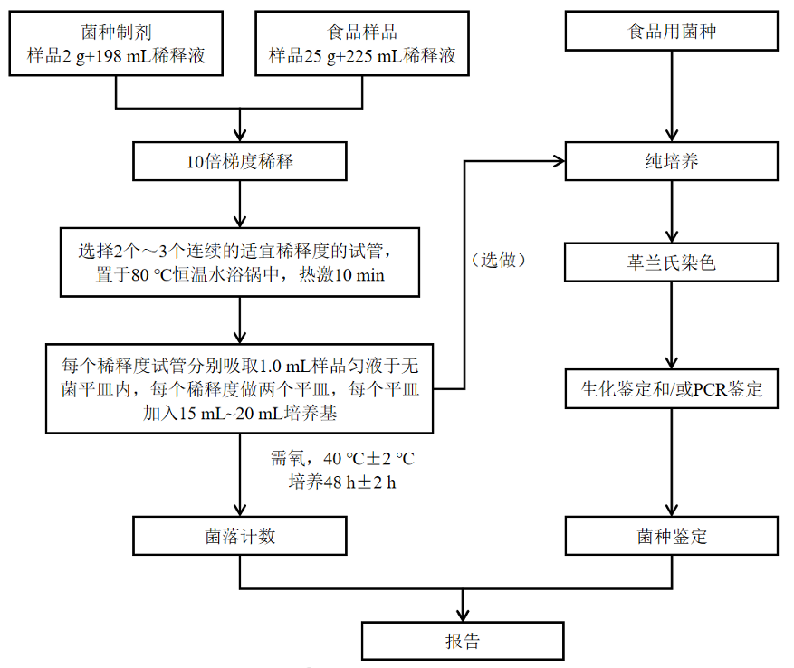 乳酸菌檢驗新角色——片球菌屬與魏茨曼氏菌屬