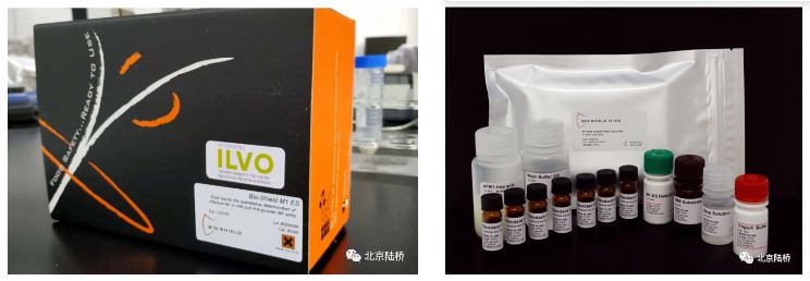 黃曲霉毒素M1的檢測