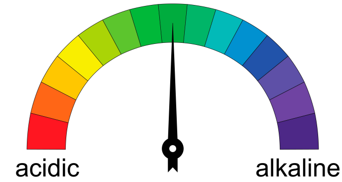 關于培養基pH值的那些事兒