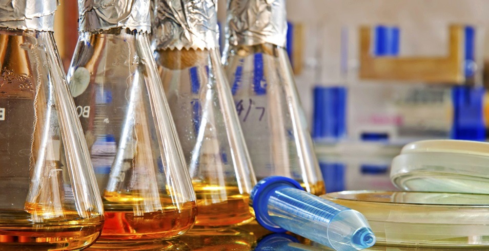 1101無菌檢查法——培養(yǎng)基適用性檢查操作要點(diǎn)（中國藥典2020年版四部）