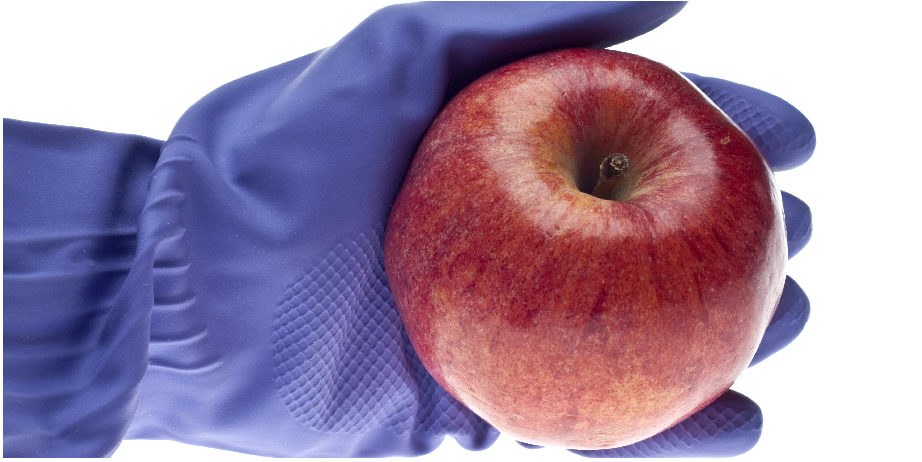 北京陸橋邀您參加2024 食品安全與檢測技術創新論壇，共同探討GB4789.28-2024