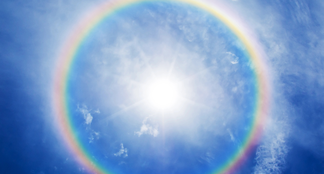 自帶“光環”的菌——唐菖蒲伯克霍爾德氏菌（下）