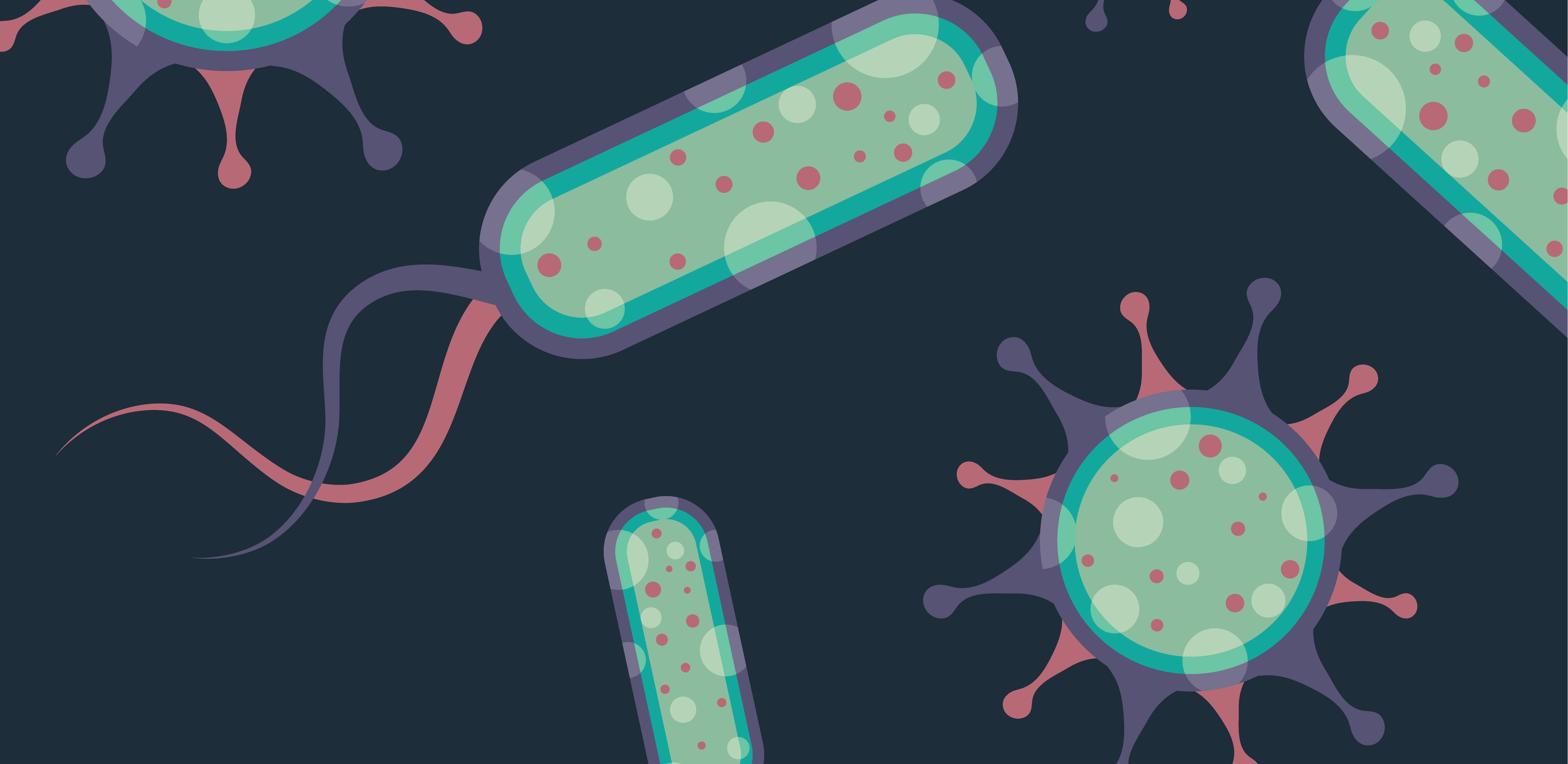 誰(shuí)是芽胞桿菌中的“運(yùn)動(dòng)健將”？