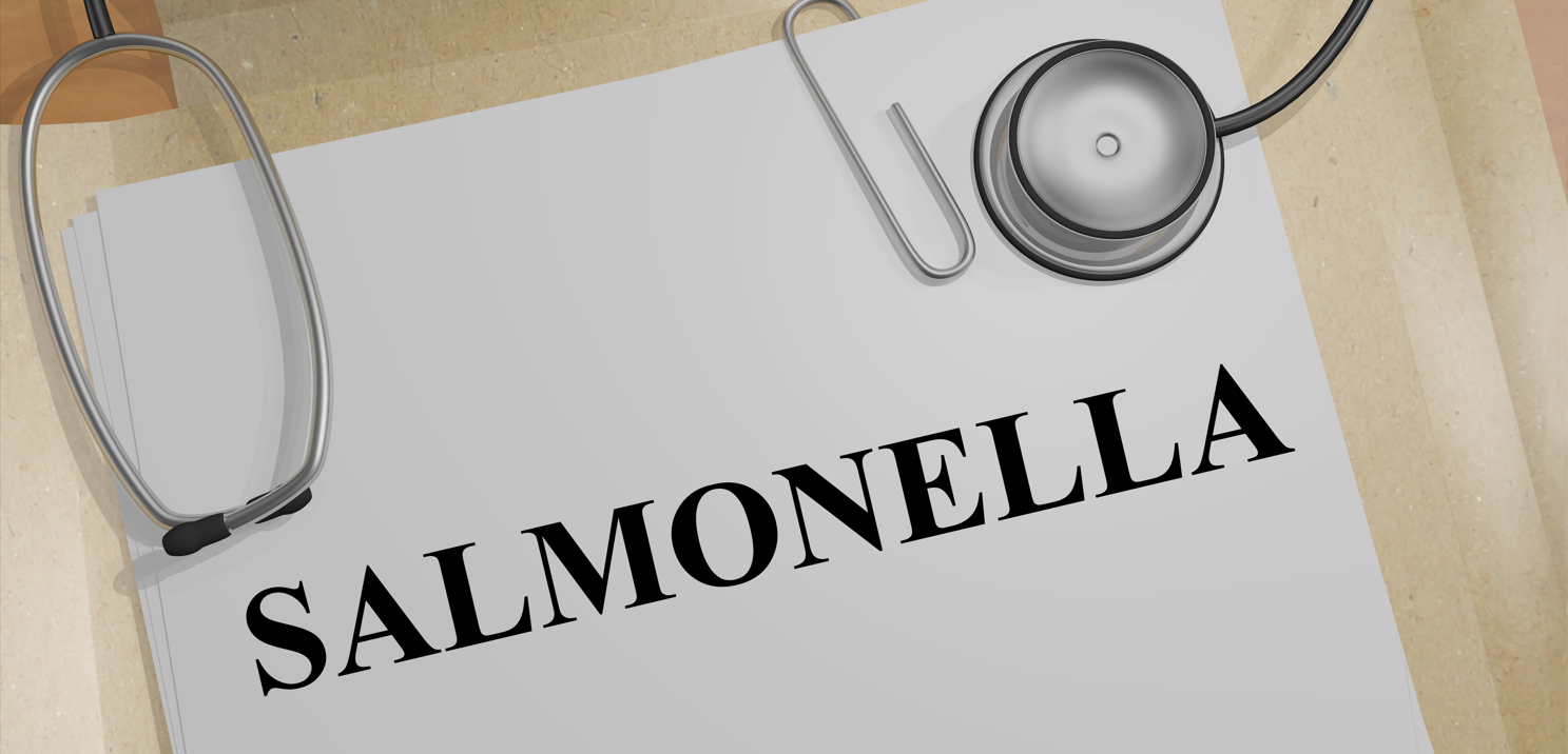 沙門(mén)檢測(cè)新助手—沙門(mén)氏+顯色培養(yǎng)基