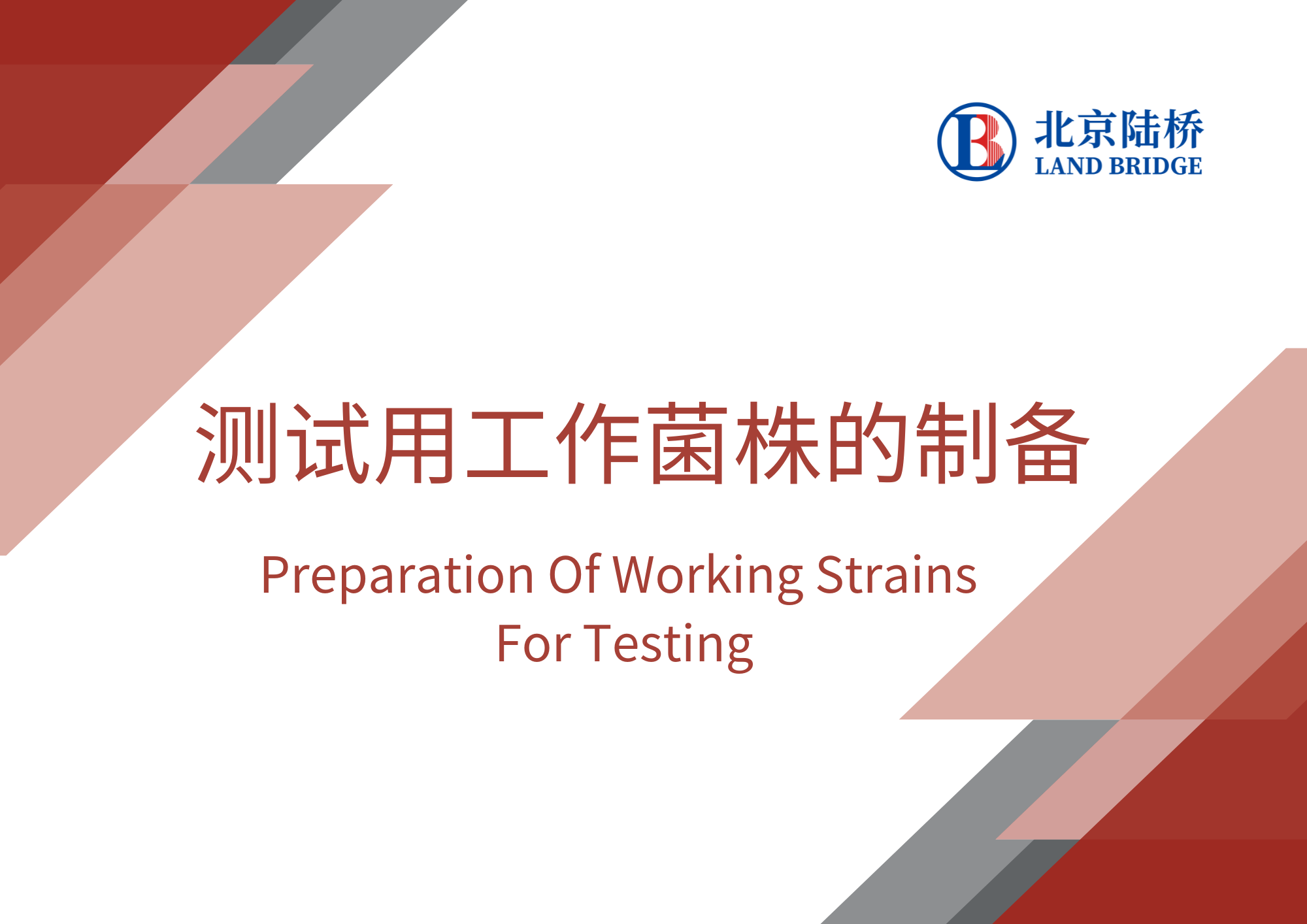 測試用工作菌株的制備