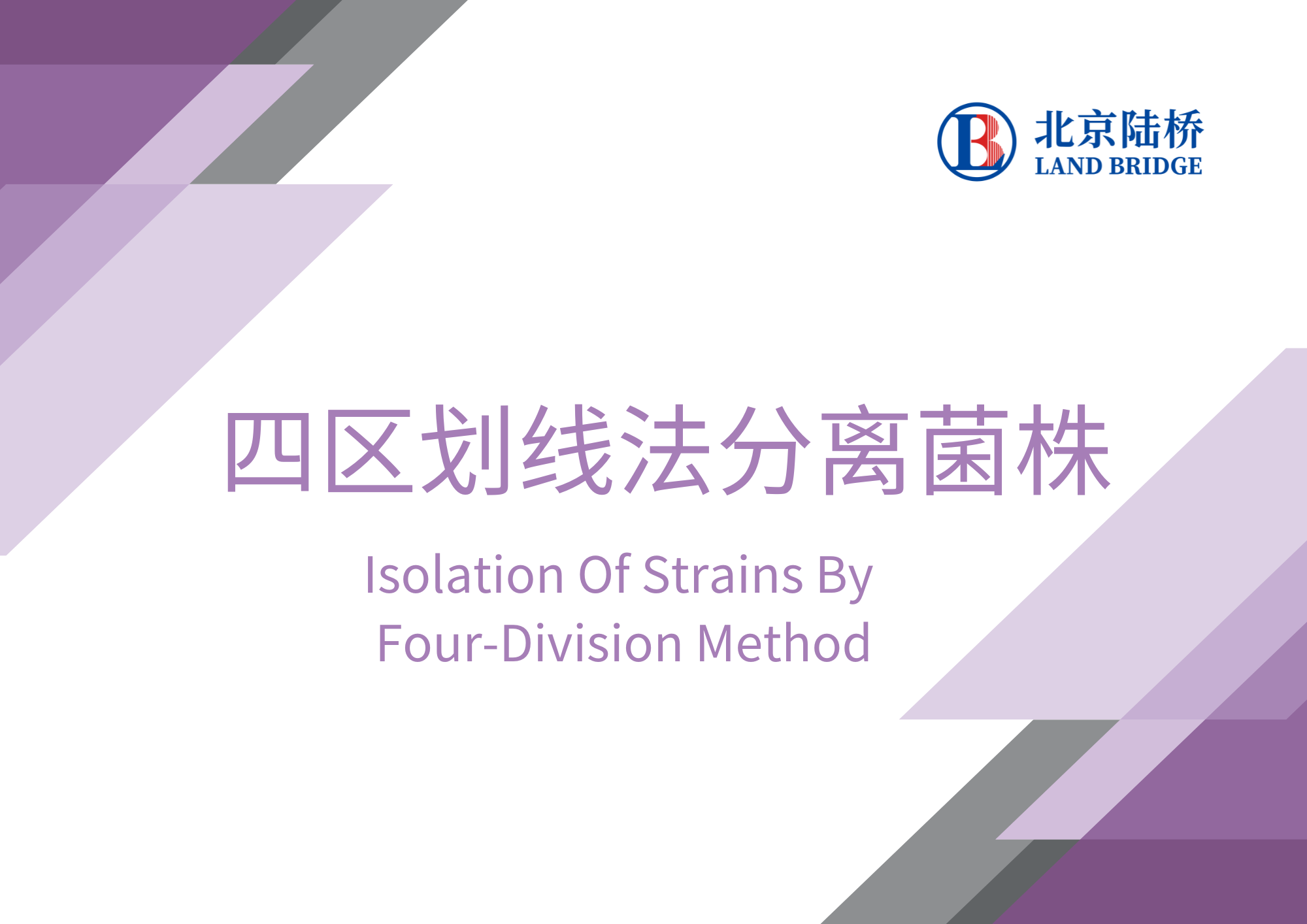 四區劃線法分離菌株