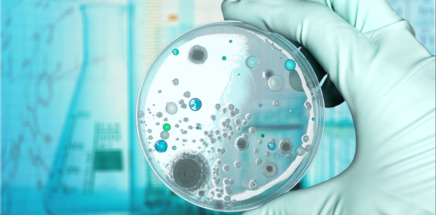 【技術干貨匯總】2025年度常見技術問題大盤點