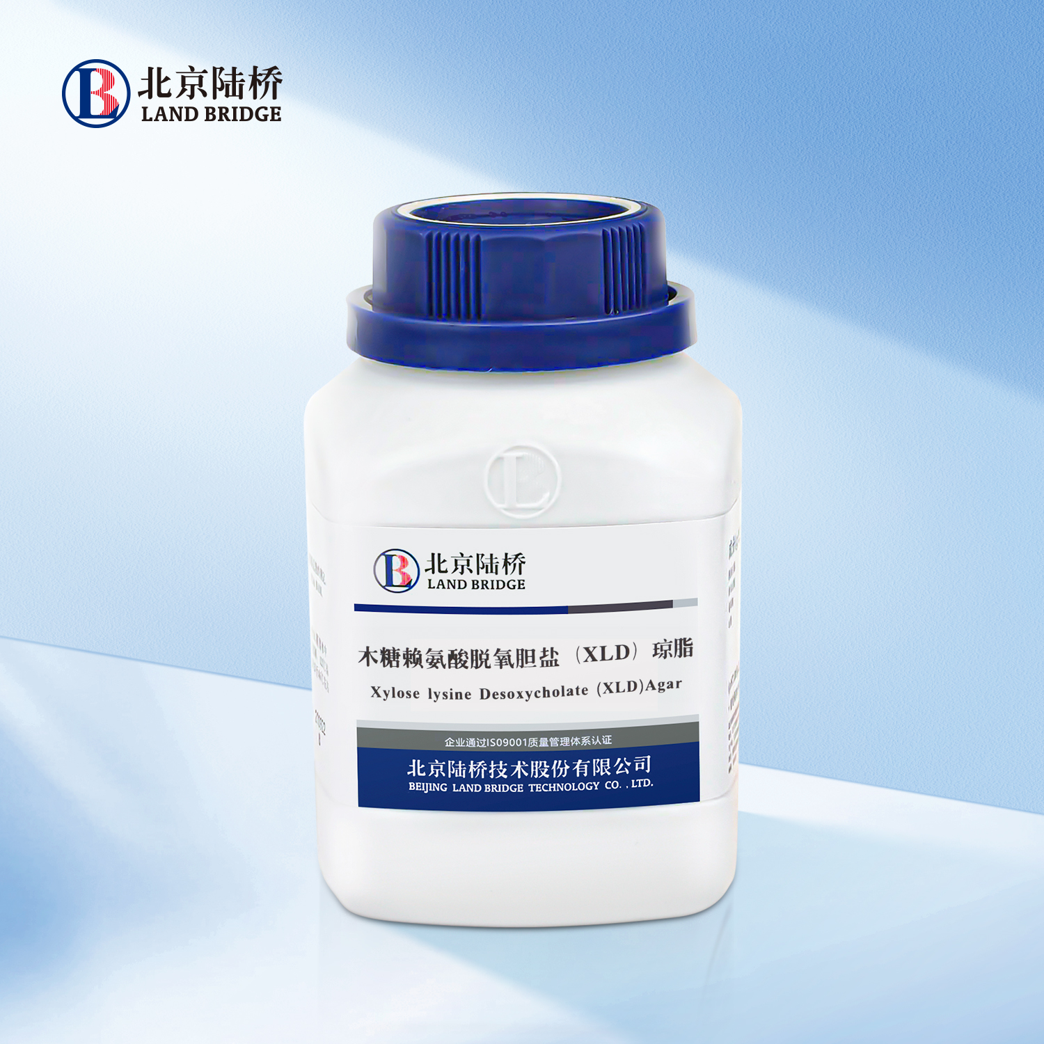 木糖賴氨酸脫氧膽鹽（XLD）瓊脂